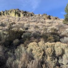 Volcanic rock, fall colors & blue sky!