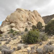 Rock formations JTNP
