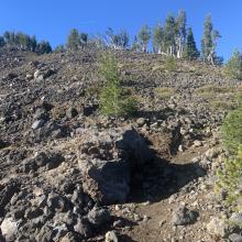 Typical Trail, just below Tree Line