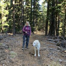 Typical Trail conditions