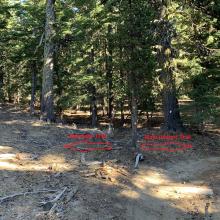 Indistinct "Trail Junction"