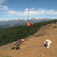Dexter the SOTA Dog guarding the Operating Position - Red Top