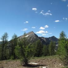 Next day's objective Activation, Pyramid Mountain - very aptly named from this vantage point just below summit of "Olivia Mountain"