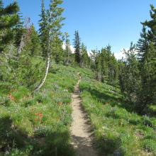Very pleasant and scenic hiking back to TH, staying ahead of the incoming weather front.    