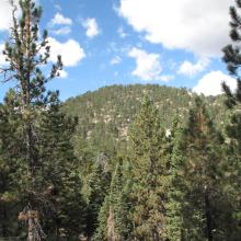 Looking towards Waterman Mountain from trail.