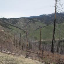 Upper Ollala Canyon through burned areas