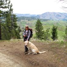 Looking NE from road approach to Tibbetts