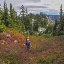 Fall colors & loaded blueberry / huckleberry bushes galore! K7MAS climbing towards summit. Photo KG7EJT.