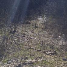 "Spooky Boneyard", Lookout Mountain TH - Photot KG7EJT