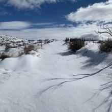 Snow getting deeper and untracked.