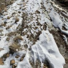 Heading down and ran out of snow.  Still about 900ft vertical down to go.