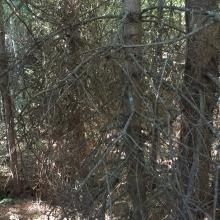 Half hour of fighting through this!