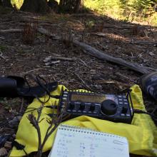 KX3 on auto-repeat CQ