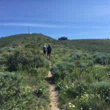 Cutoff trail to the summit