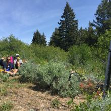 Peanut Gallery at the summit