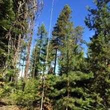 Sotabeams pole and kx3helper end fed antenna