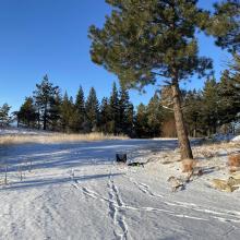 My station from the front, with the dipole visible above