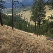 Looking down on road 18548