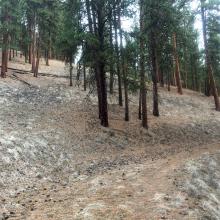 Bald Hill Road #18548