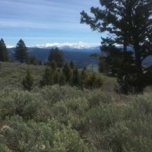 Summit View of Anaconda Pintler Mountains