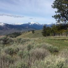 Summit View of Bitterroot Mountains