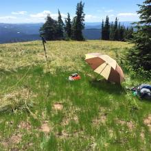 Setup on Illinois Peak