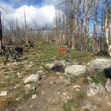 Summit view with lots of snags.  Caution.  