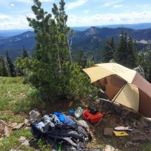 Mount Headley view to south