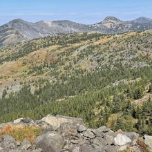 Summit view north  to LI-008 & 013