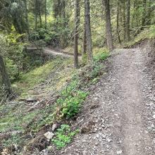 Typical Rolling Trail