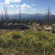 Savage Ridge summit view to south