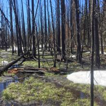 West snowmelt areas upper ridge