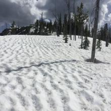 Spring snowfields.  Good place for snowshoes