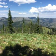 Spring Mountain Summit view to NE.  NI-001 in far center skyline of photo
