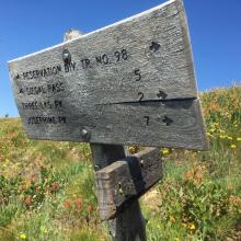 Trail junction of alternate route