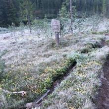 Even in August frost in Idaho