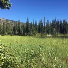 Williams Peak from Goat Lake