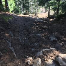 7UP, coming back down