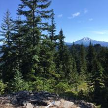 Scar Mountain summit