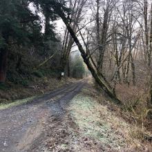 Gate where you start.