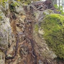 The first short scramble section, about 15 feet of climbing