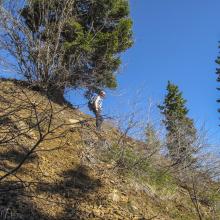 Fun off-trail cross-country route to the summit!