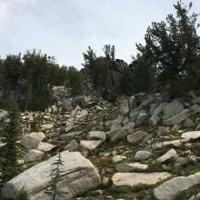 Boulder path to ridge