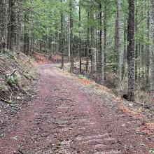 well maintained logging roads