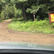 Photo shows the fork to the left to stay on NF-86 after entering the forest boun