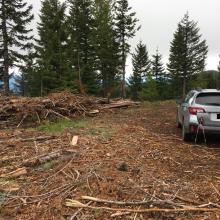 you can park about 0.2 miles from the summit.