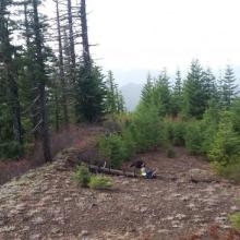 open area with views and the summit 