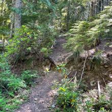 MultorporSummitTrailHead-off of powerline trail