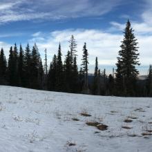 Yellow Jacket Bench Pano NW