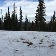 Yellow Jacket Bench Looking NW